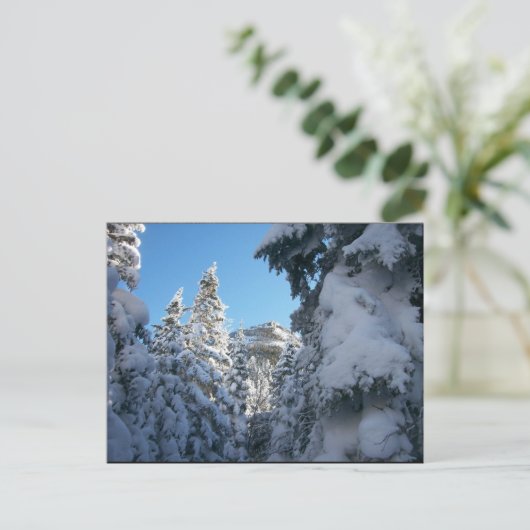 So nach oben. postkarte (Stehend Vorderseite)