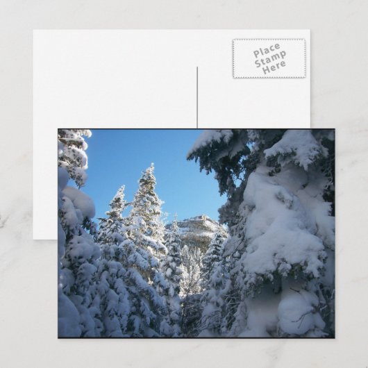 So nach oben. postkarte (Vorne/Hinten)