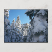 So nach oben. postkarte (Vorderseite)