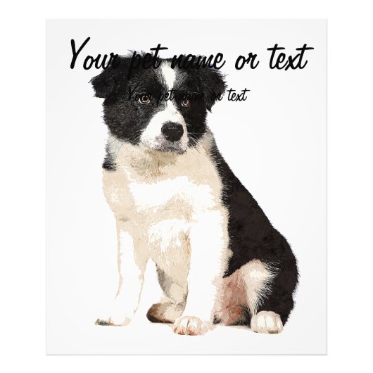So Niedlich Border Collie Doppy Fotodruck (Vorne)