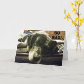 SO SAD, SIE ZU SEHEN GEHEN - PUP IST NUR SO UNGLAU KARTE (Gelbe Blume)