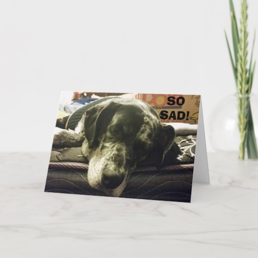 SO SAD, SIE ZU SEHEN GEHEN - PUP IST NUR SO UNGLAU KARTE (Vorderseite)