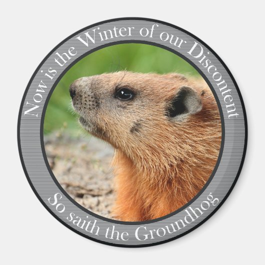 So sagt der Grundhaken Magnet (Vorne)