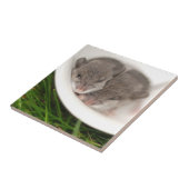 So schläfrige Baby-Mäuse Fliese (Seite)