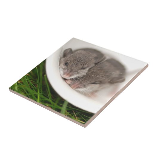 So schläfrige Baby-Mäuse Fliese (Seite)