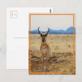 so schön postkarte (Vorne/Hinten)