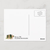 So schön Sequoia Postcard! Postkarte (Rückseite)