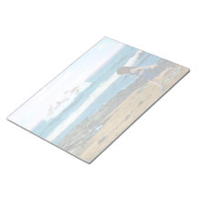 So sehen Sie die Delfine