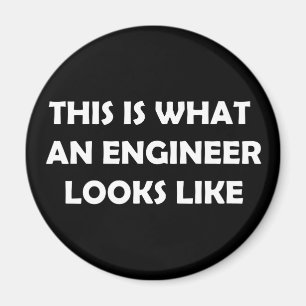 So sieht ein Ingenieur aus Magnet
