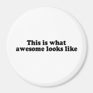 SO SIEHT PHANTASTISCH AUS (2) MAGNET