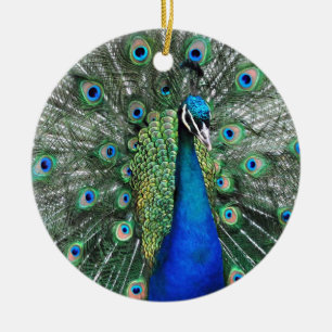 So stolz wie ein Pfau Keramik Ornament