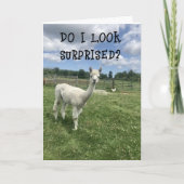 *SO ÜBERRASCHT **20.** GEBURTSTAG!!!!* KARTE (Vorderseite)