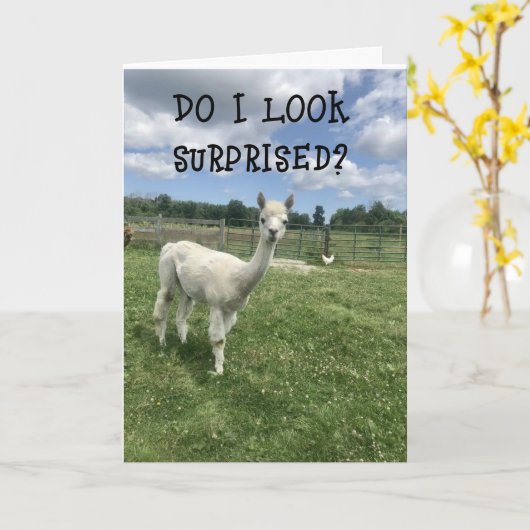 *SO ÜBERRASCHT **20.** GEBURTSTAG!!!!* KARTE (Gelbe Blume)