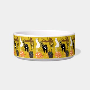 So unterschiedliche Katzen. Mittlere Schale Napf