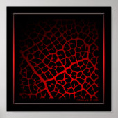 So Vein Poster (Vorne)