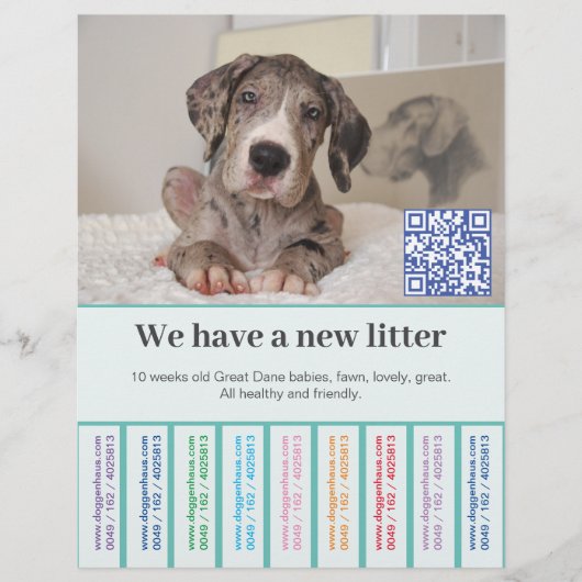 So verkaufen Sie Dane Welpen farbigen Flyer (Vorne)