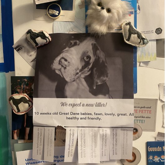 So verkaufen Sie Schwarz-weiße Welpen Flyer