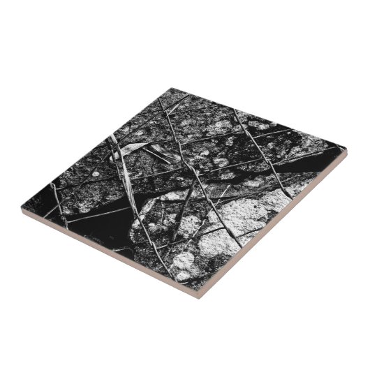 so viel für morgen fliese (Seite)