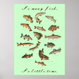 So viele Fische, so wenig Zeit Poster