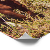 So viele Pferde // Drei raue Autos Poster (Ecke)