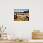 So viele Pferde // Drei raue Autos Poster (Küche)