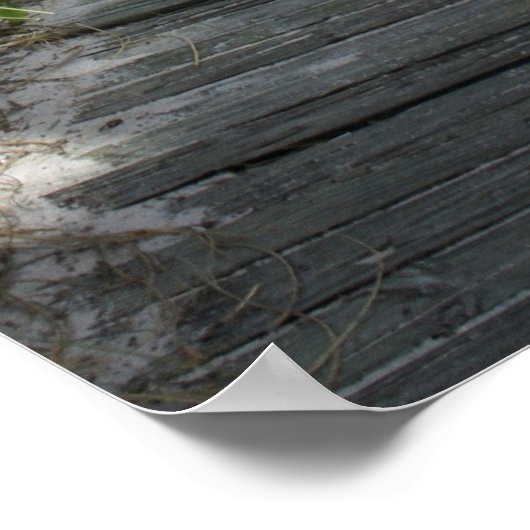 So zum Paradies Poster (Ecke)