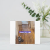 Soap Opera Katzen Postkarte (Stehend Vorderseite)