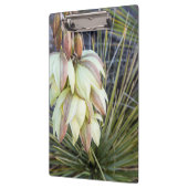 Soaptree-Yucca-Blume im oberen Missouri Klemmbrett (Links)