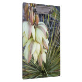 Soaptree-Yucca-Blume im oberen Missouri Klemmbrett (Rechts)