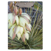 Soaptree-Yucca-Blume im oberen Missouri Klemmbrett (Vorderseite)