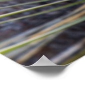 Soaptree Yucca-Blume im Oberen Missouri Poster (Ecke)