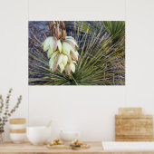 Soaptree Yucca-Blume im Oberen Missouri Poster (Küche)