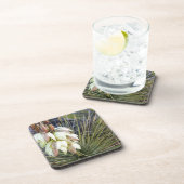 Soaptree-Yucca-Blume im oberen Missouri Untersetzer (Rechte Seite)