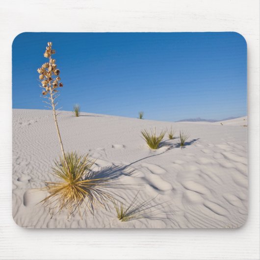 Soaptree Yucca, langer Schatten, transversale Düne Mousepad (Vorne)