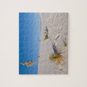 Soaptree Yucca, langer Schatten, transversale Düne Puzzle (Vertikal)