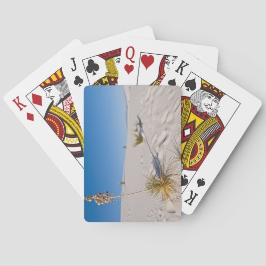 Soaptree Yucca, long Shadow, Transverse Dunes Spielkarten (Rückseite)