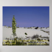 Soapweed Yucca Poster (Vorne)