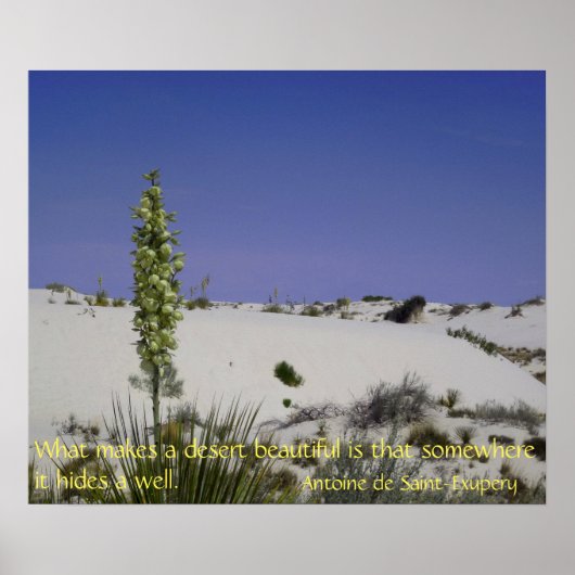 Soapweed Yucca Poster (Vorne)