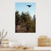 Soar Poster (Küche)