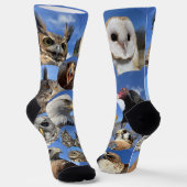 Soarin' Hawk Birds - Premium Crew Sock Socken (Gewinkelt)
