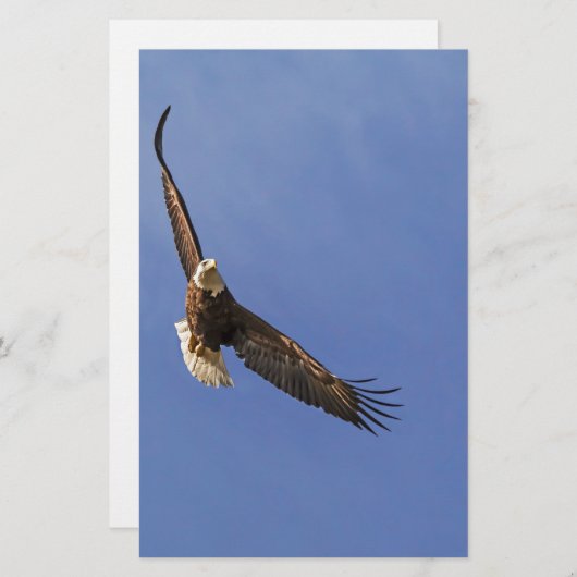 Soaring Bald Eagle Briefpapier (Vorne/Hinten)