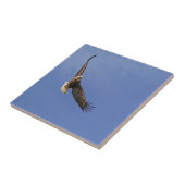Soaring Bald Eagle Fliese (Seite)