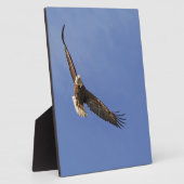 Soaring Bald Eagle Fotoplatte (Seite)