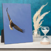 Soaring Bald Eagle Fotoplatte (Seite)