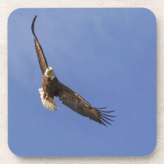 Soaring Bald Eagle Getränkeuntersetzer (Vorderseite)
