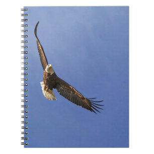 Soaring Bald Eagle Notizblock