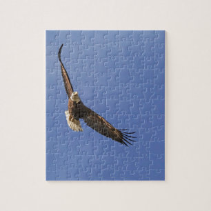 Soaring Bald Eagle Puzzle