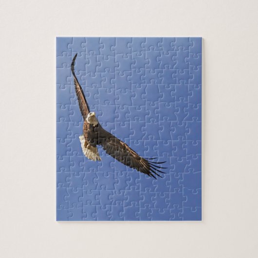 Soaring Bald Eagle Puzzle (Vertikal)