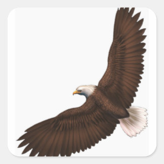 Soaring Bald Eagle Quadratischer Aufkleber