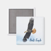 Soaring Bald Eagle Wildife Foto Art Magnet (Vorderseite/Rückseite)